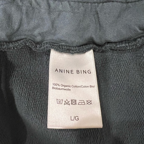 Anine bing ash hoodie faded emerald green size L - Picture 2 of 6